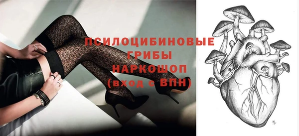 меф Инсар