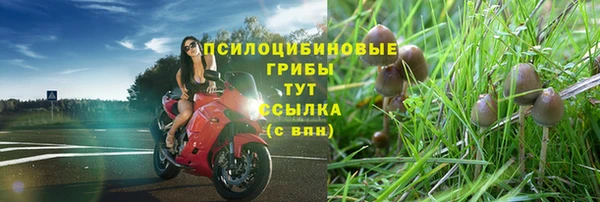 меф Инсар