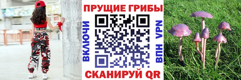 Купить где  Партизанск  Галлюциногенные грибы MAGIC MUSHROOMS 